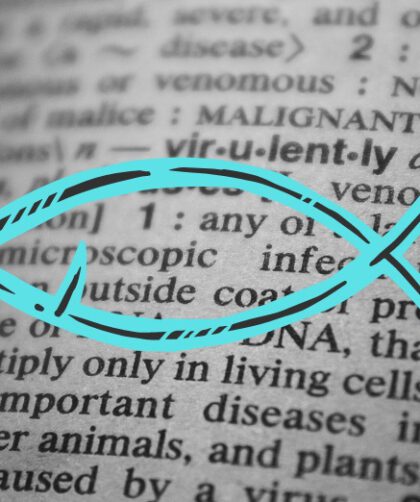 Pate-Bedeutung-Dialekt